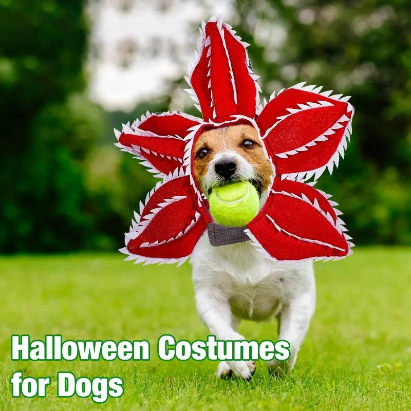 Puppy Cosplay Headband Big Cute Pet Costume, Floral Hat Dog Cat Pet Costume Cosplay Props Gifts, Holiday Decorations Cosplay