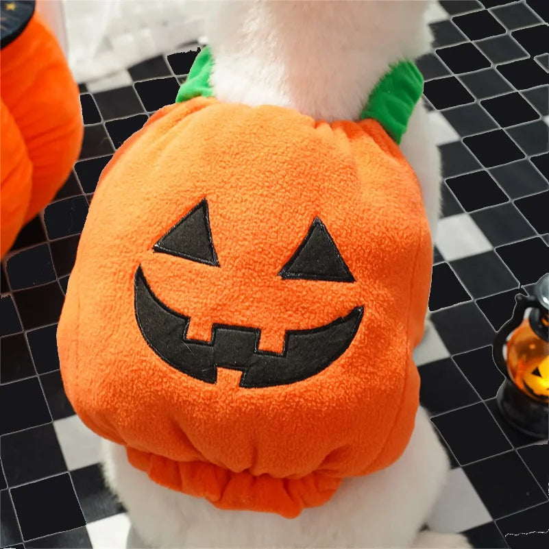 Funny Dog Halloween Pumpkin Lantern Transformation Outfit Halloween Dog Cat Two Legged Pet Cute Pumpkin Hat Dog Jacket