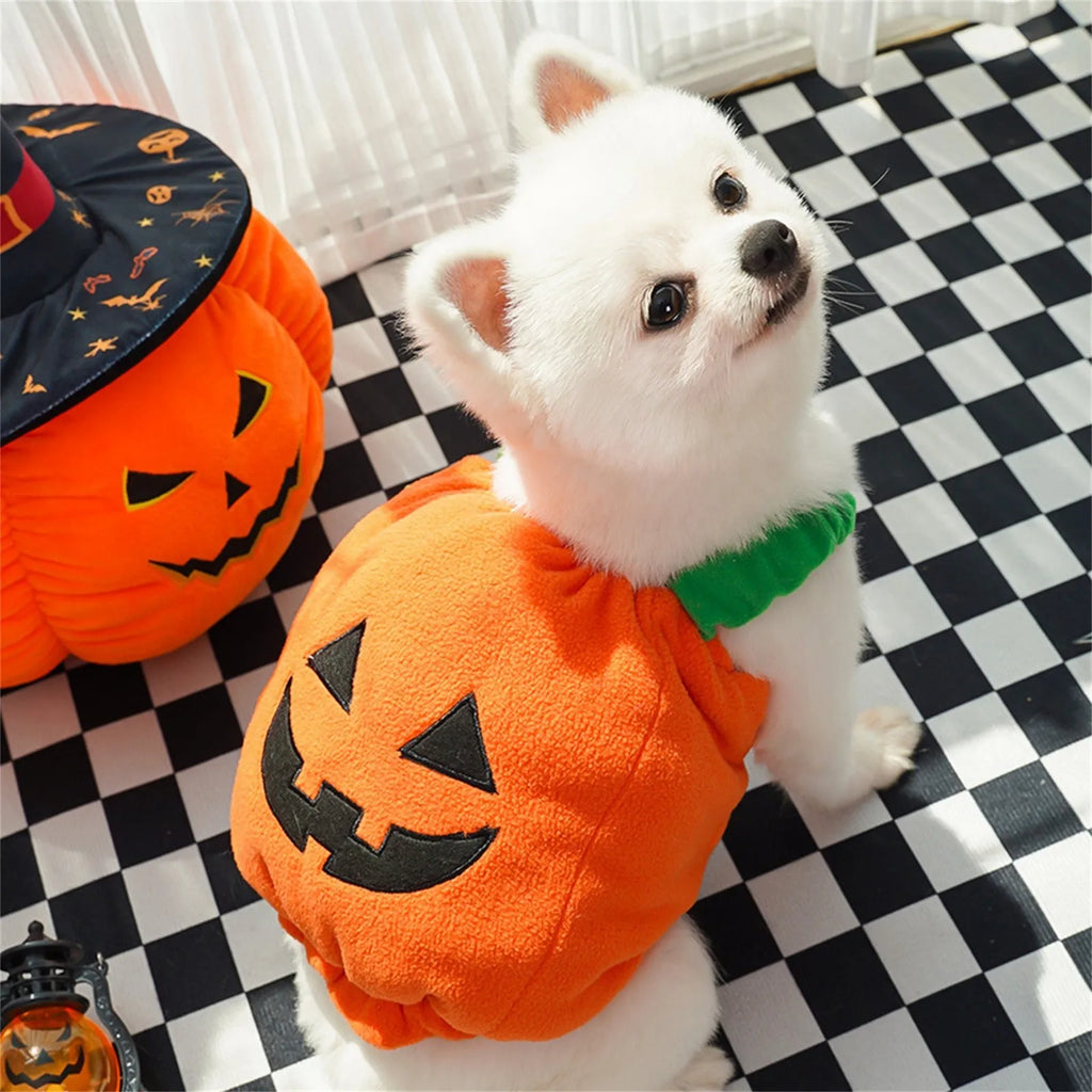 Funny Dog Halloween Pumpkin Lantern Transformation Outfit Halloween Dog Cat Two Legged Pet Cute Pumpkin Hat Dog Jacket