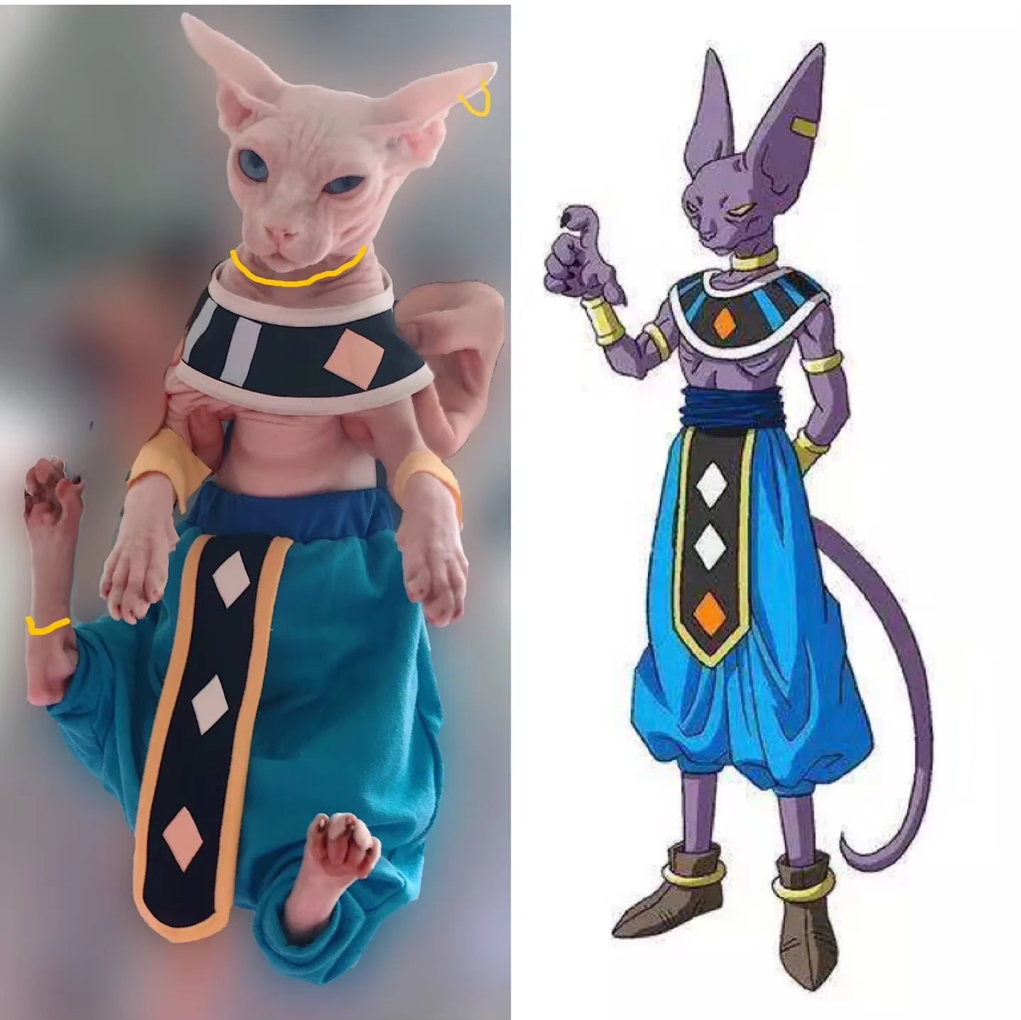 Handmade Sphinx Cosplay Costumes Hairless Cat Clothes God of Destruction Crotch-Proof Trousers Dropshipping Cat Clothes