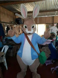 New Adult Hot Sale Foam Cute Bugs Bunny Rabbit Fancy Cartoon Mascot Costume Plush Christmas Fancy Dress Halloween Mascot Costume