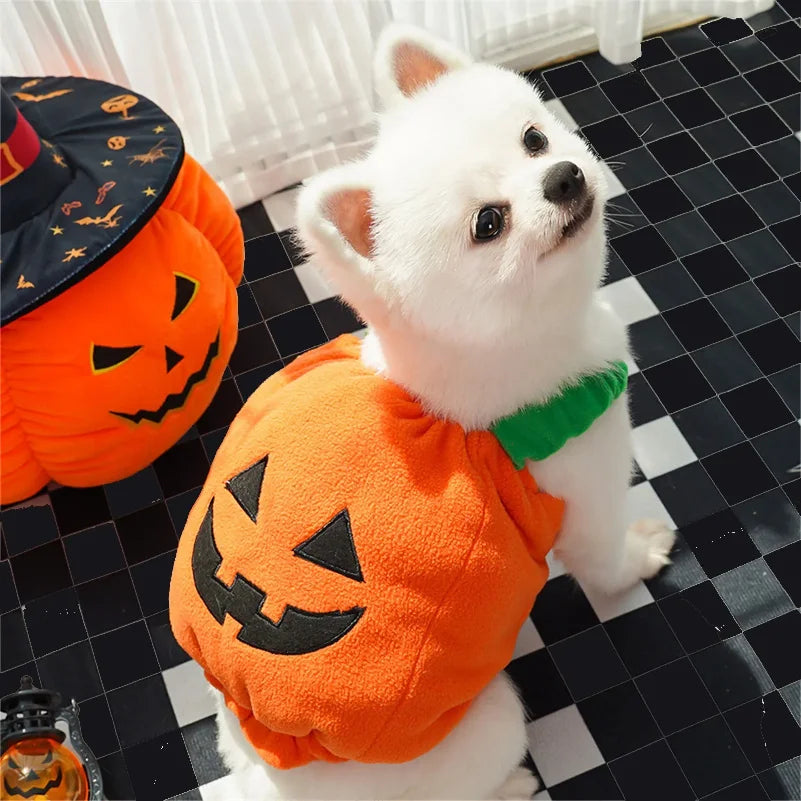 Funny Dog Halloween Pumpkin Lantern Transformation Outfit Halloween Dog Cat Two Legged Pet Cute Pumpkin Hat Dog Jacket