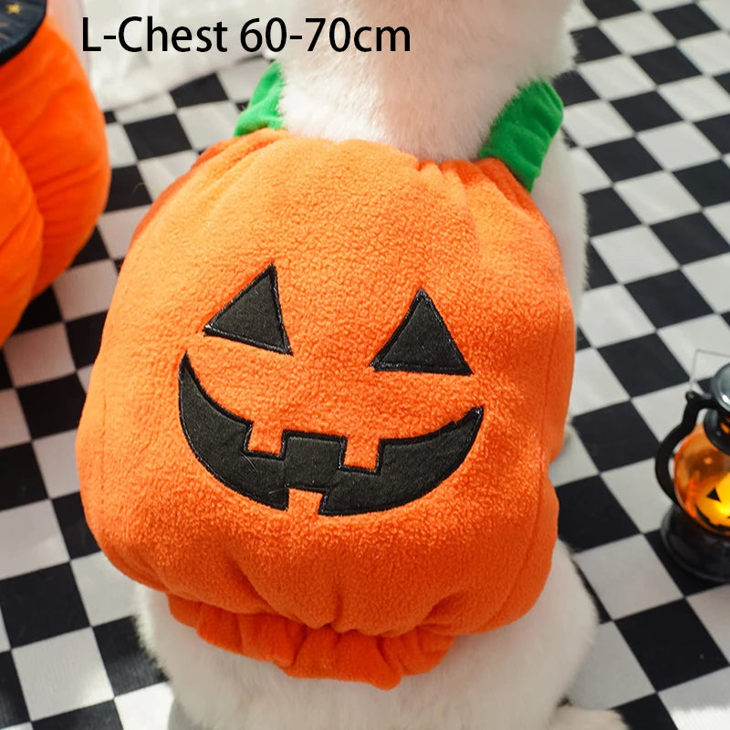 Halloween Dog Costumes Funny Pumpkin Lantern Transformation Outfit Halloween Dog Cat Two Legged Pet Cute Pumpkin Hat Dog Jacket